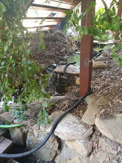 Apartment Nature Near City & Anu With Free Parking Canberra